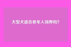 大型犬适合老年人饲养吗？