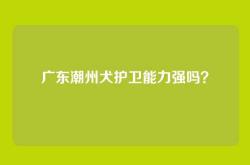 广东潮州犬护卫能力强吗？