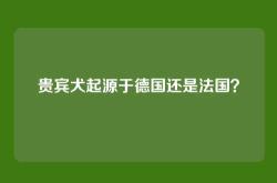贵宾犬起源于德国还是法国？