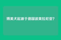 博美犬起源于德国波美拉尼亚？