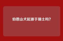 伯恩山犬起源于瑞士吗？