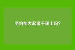 圣伯纳犬起源于瑞士吗？