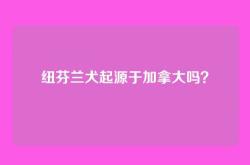 纽芬兰犬起源于加拿大吗？