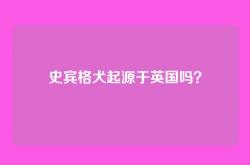 史宾格犬起源于英国吗？