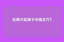 松狮犬起源于中国北方？
