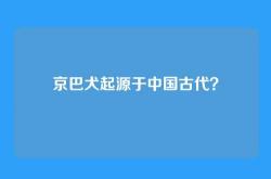 京巴犬起源于中国古代？