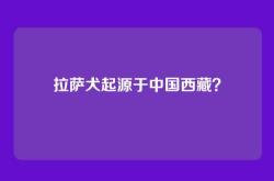 拉萨犬起源于中国西藏？