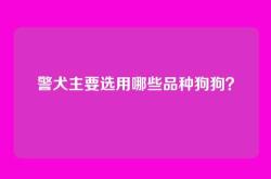 警犬主要选用哪些品种狗狗？