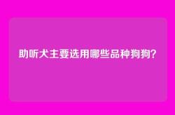 助听犬主要选用哪些品种狗狗？