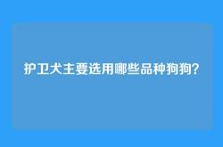 护卫犬主要选用哪些品种狗狗？