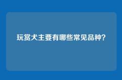 玩赏犬主要有哪些常见品种？