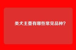 㹴类犬主要有哪些常见品种？