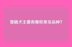 雪橇犬主要有哪些常见品种？