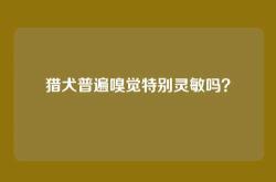猎犬普遍嗅觉特别灵敏吗？