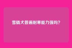 雪橇犬普遍耐寒能力强吗？