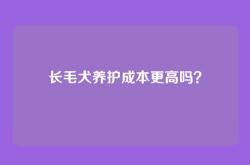 长毛犬养护成本更高吗？