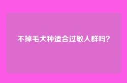 不掉毛犬种适合过敏人群吗？
