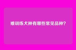 难训练犬种有哪些常见品种？