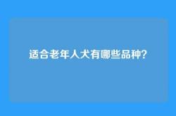 适合老年人犬有哪些品种？
