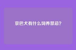 京巴犬有什么饲养禁忌？