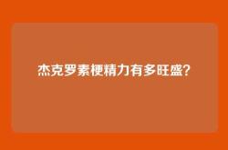 杰克罗素梗精力有多旺盛？