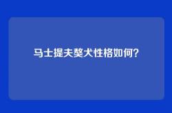 马士提夫獒犬性格如何？