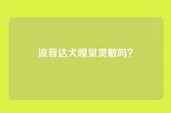 波音达犬嗅觉灵敏吗？