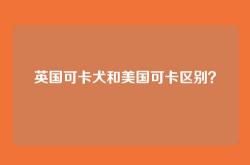 英国可卡犬和美国可卡区别？