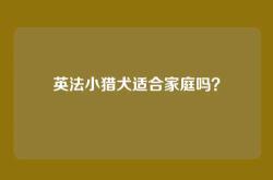 英法小猎犬适合家庭吗？