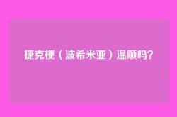 捷克梗（波希米亚）温顺吗？