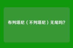 布列塔尼（不列塔尼）无尾吗？
