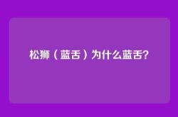 松狮（蓝舌）为什么蓝舌？