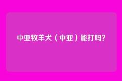 中亚牧羊犬（中亚）能打吗？