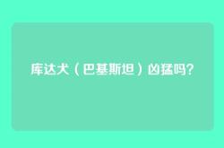 库达犬（巴基斯坦）凶猛吗？