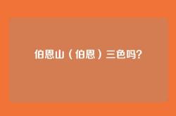 伯恩山（伯恩）三色吗？