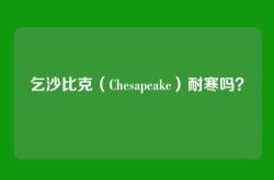 乞沙比克（Chesapeake）耐寒吗？