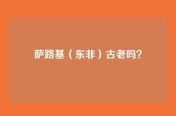 萨路基（东非）古老吗？