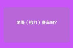 灵缇（格力）赛车吗？