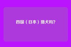 四国（日本）猎犬吗？