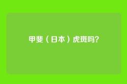 甲斐（日本）虎斑吗？