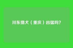 川东猎犬（重庆）凶猛吗？
