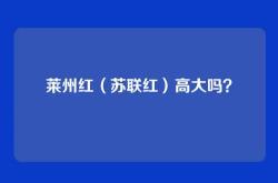 莱州红（苏联红）高大吗？