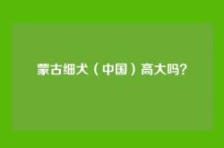 蒙古细犬（中国）高大吗？