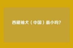 西藏袖犬（中国）最小吗？