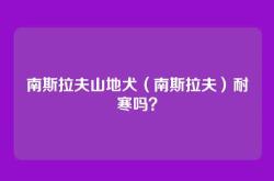 南斯拉夫山地犬（南斯拉夫）耐寒吗？