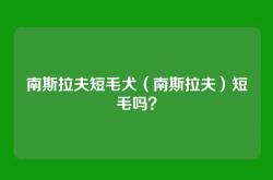 南斯拉夫短毛犬（南斯拉夫）短毛吗？