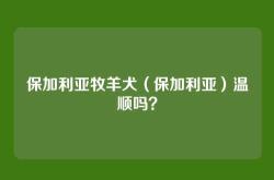 保加利亚牧羊犬（保加利亚）温顺吗？