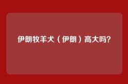 伊朗牧羊犬（伊朗）高大吗？