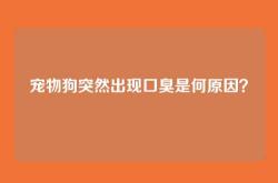 宠物狗突然出现口臭是何原因？