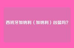 西班牙加纳利（加纳利）凶猛吗？